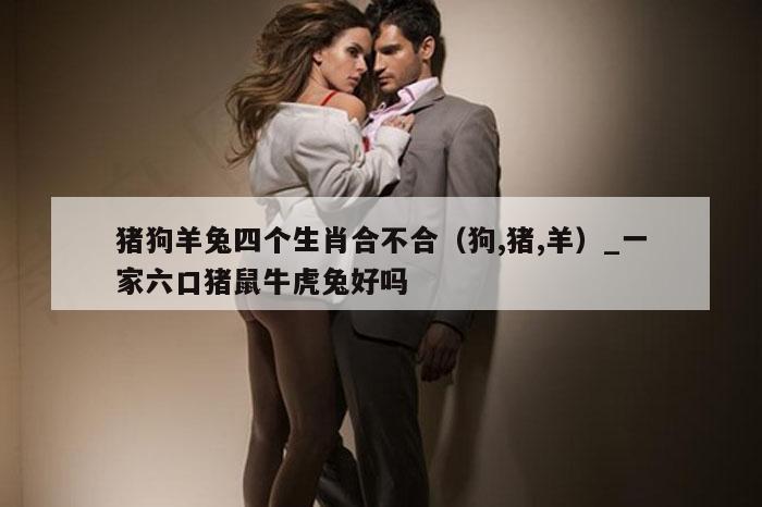 猪狗羊兔四个生肖合不合(狗,猪,羊)_一家六口猪鼠牛虎兔好吗